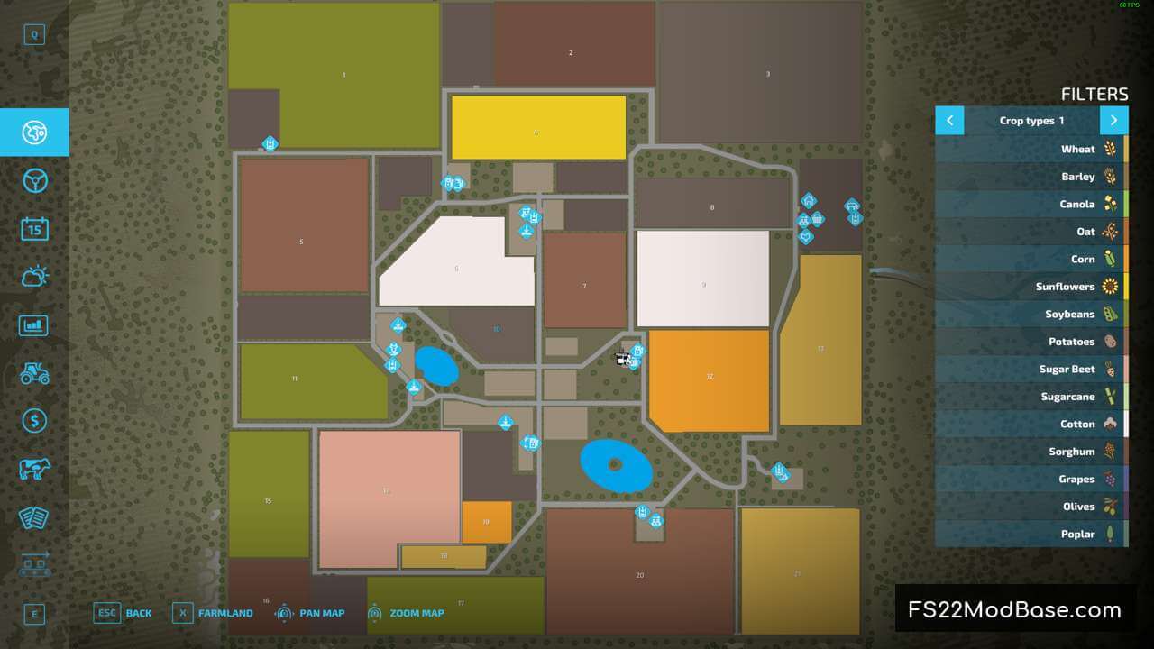 Arena