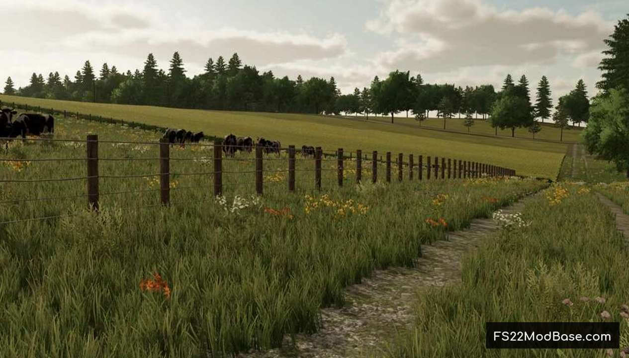 Back Roads County