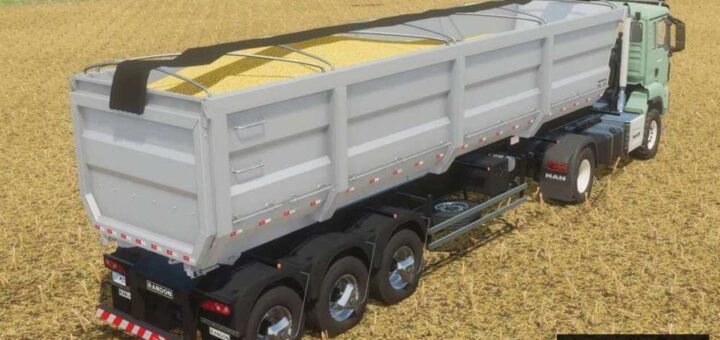 Randon Dumper