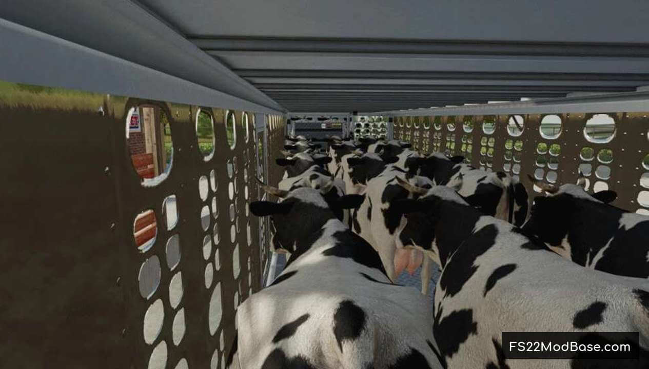 Wilson Silverstar Livestock Trailer