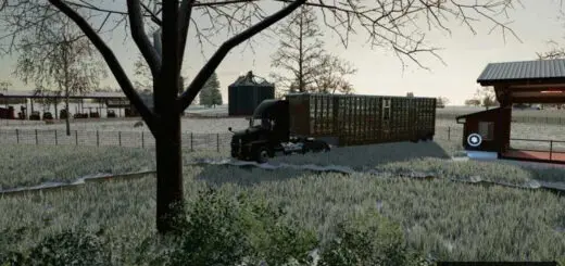 Wilson Silverstar Livestock Trailer