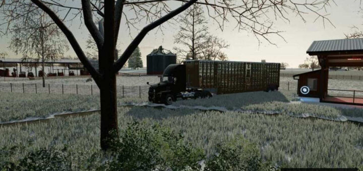 Wilson Silverstar Livestock Trailer