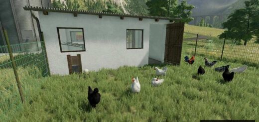 Chicken Barn Small