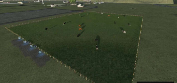Designs Large Cow Pasture
