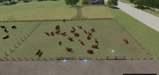 Large Feed Lot