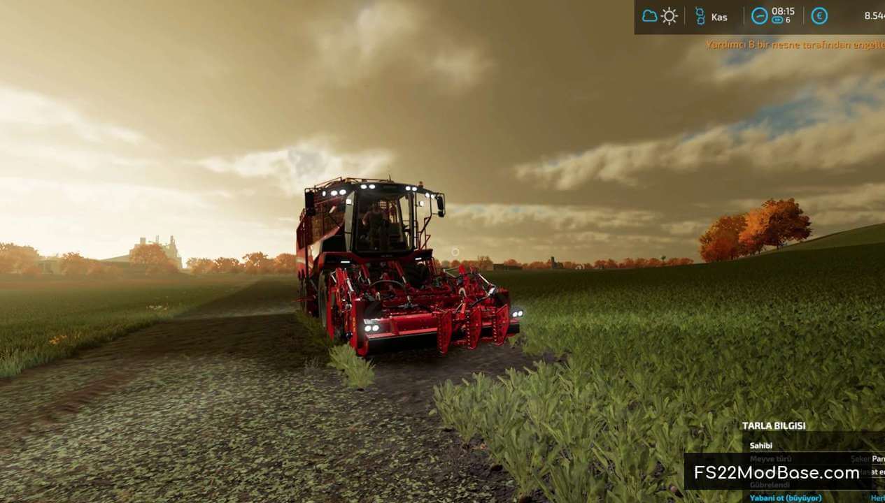 Rexor 6300 Platinum