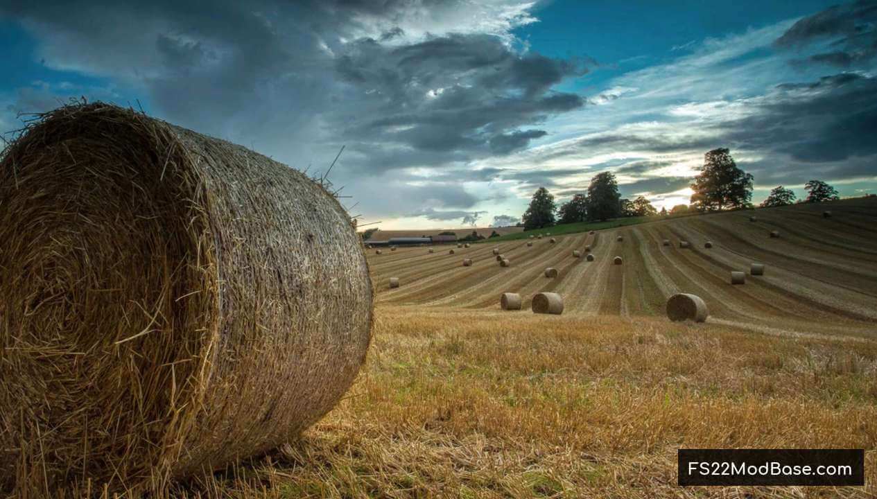 Calmsden Farm Edit