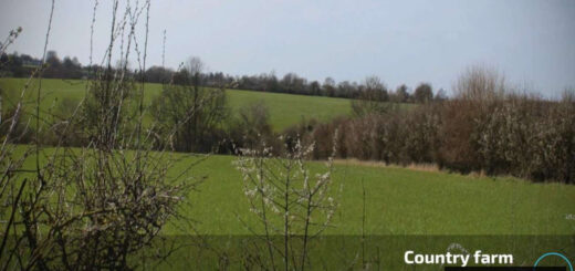 Country Farm