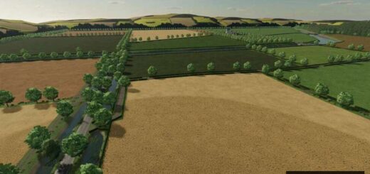 Cow Farm