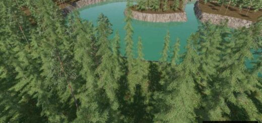 Dark Forest The Next Chapter