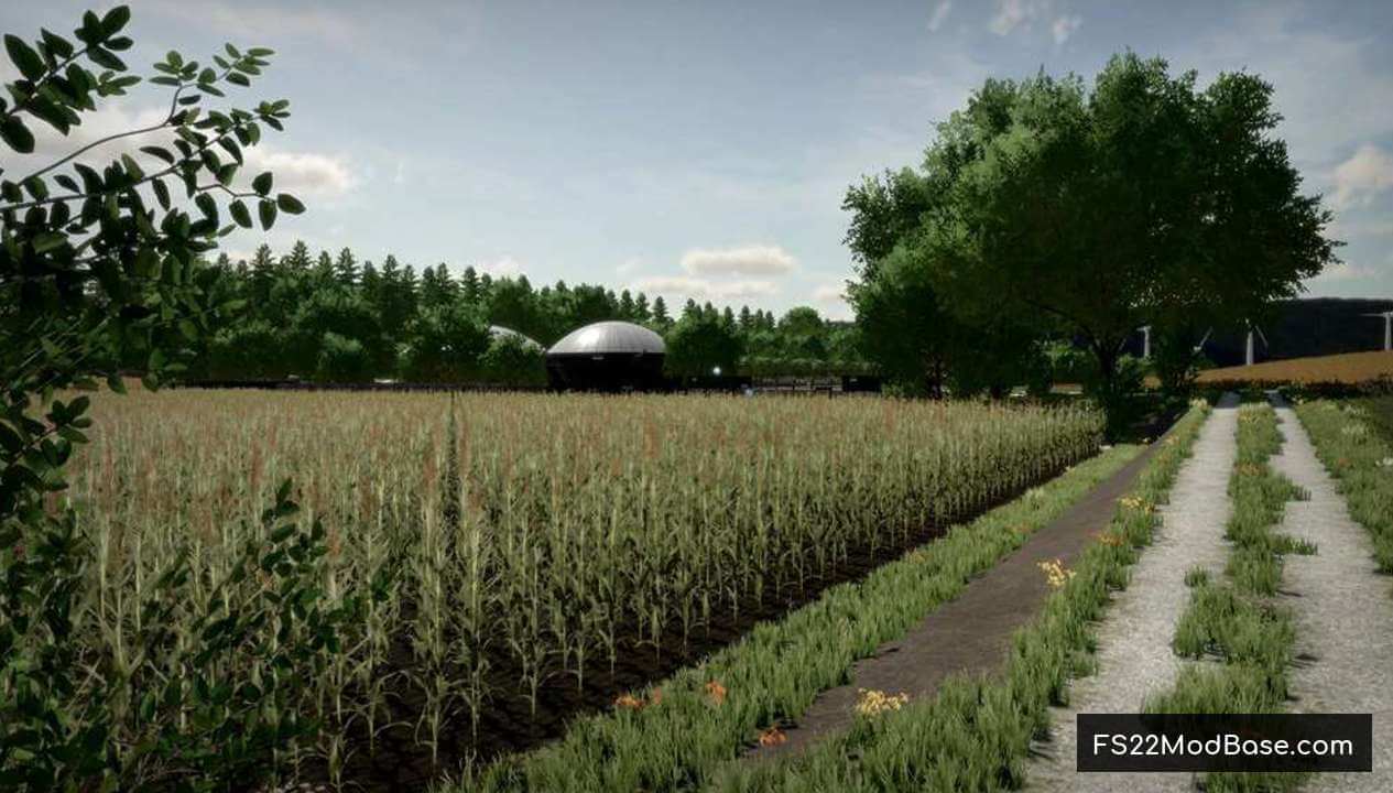 Mazowiecka Nizina V3