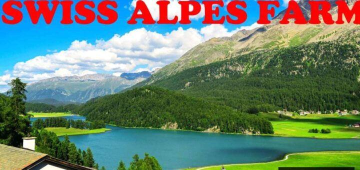 Swiss Alps Farm