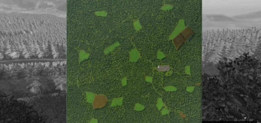 The Risoux Forest