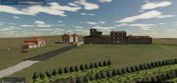 Toscana Grape and Olives