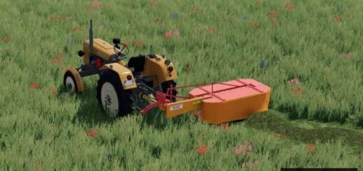 Lizard Z-173