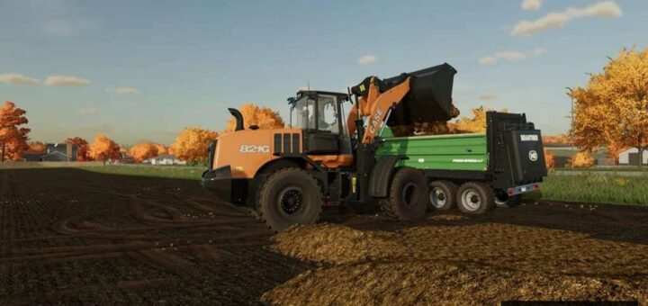 Case 821G