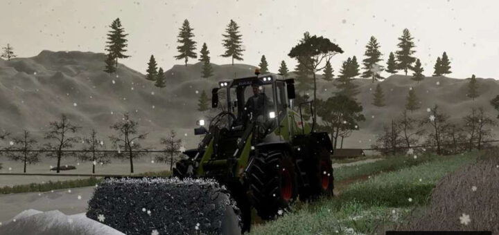 Lizard U-Plow